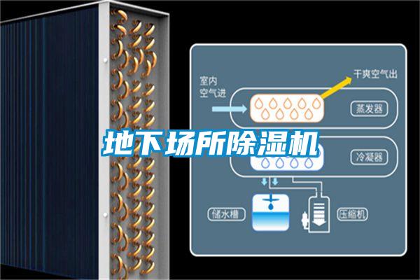 地下场所除湿机