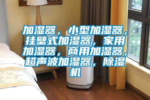 加湿器,小型加湿器,挂壁式加湿器,家用加湿器,商用加湿器,超声波加湿器,除湿机