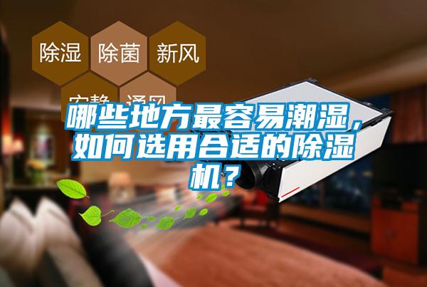 哪些地方最容易潮湿,如何选用合适的除湿机?