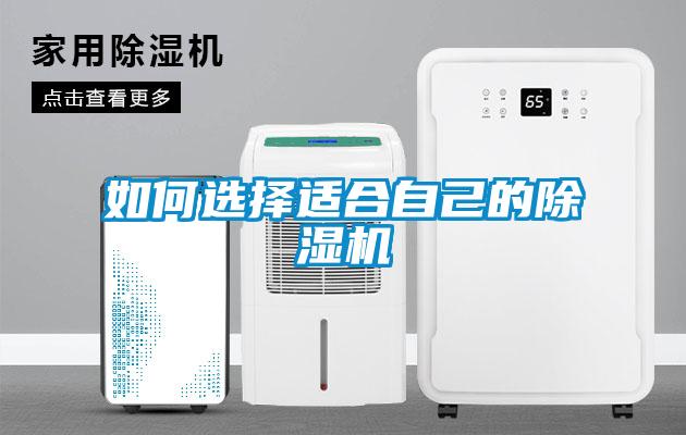 如何选择适合自己的除湿机