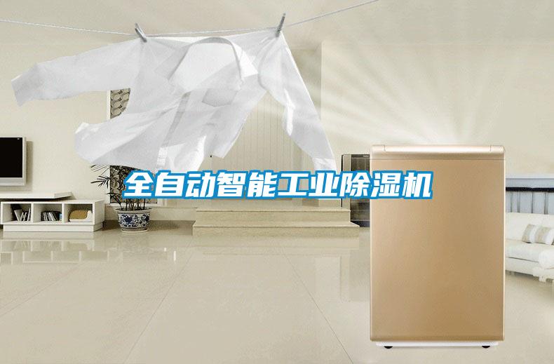 全自动智能工业除湿机