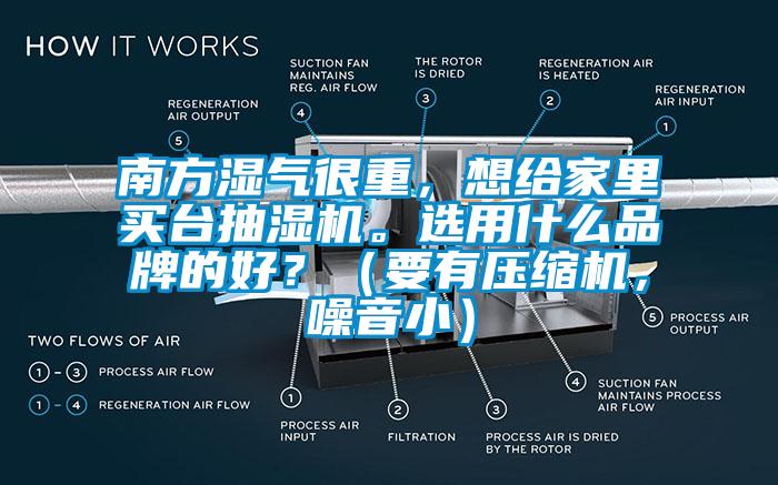 南方湿气很重，想给家里买台抽湿机。选用什么品牌的好？（要有压缩机，噪音小）