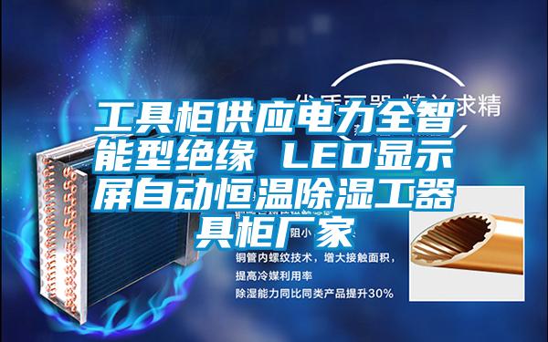 工具柜供应电力全智能型绝缘 LED显示屏自动恒温除湿工器具柜厂家