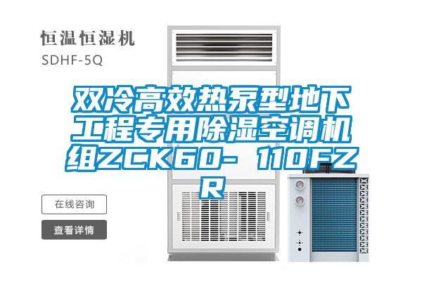 双冷高效热泵型地下工程专用除湿空调机组ZCK60- 110FZR