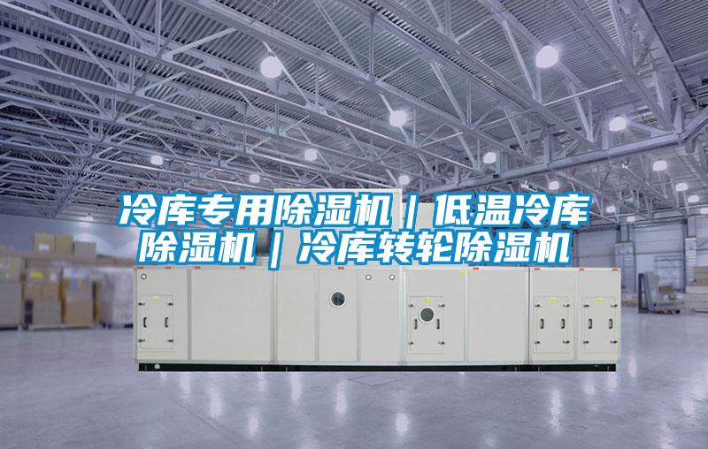 冷库专用除湿机｜低温冷库除湿机｜冷库转轮除湿机