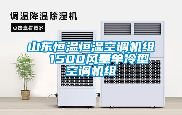 山东恒温恒湿空调机组  1500风量单冷型空调机组