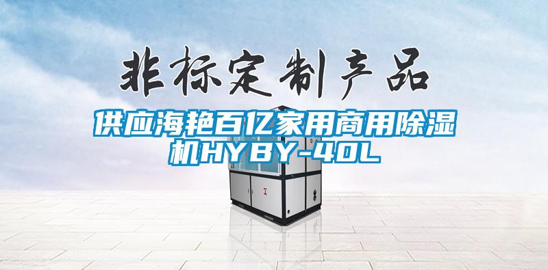 供应海艳百亿家用商用除湿机HYBY-40L