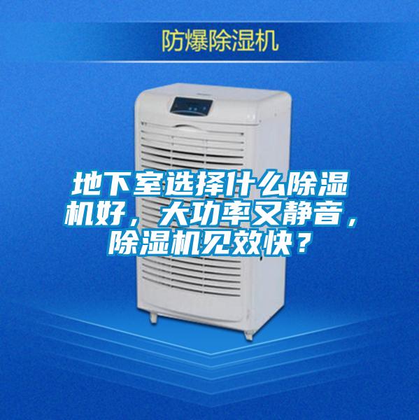 地下室选择什么除湿机好，大功率又静音，除湿机见效快？