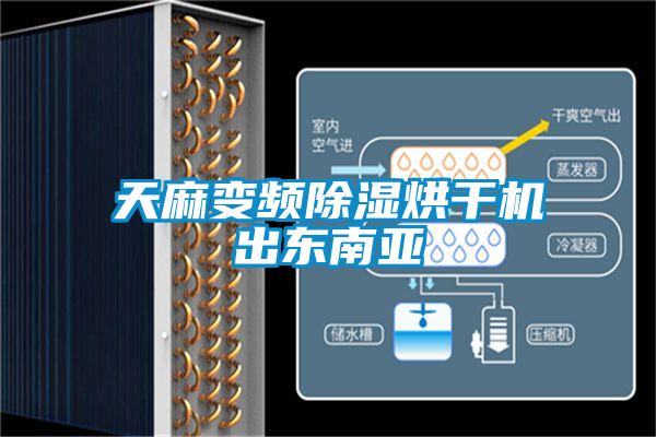 天麻变频除湿烘干机出东南亚