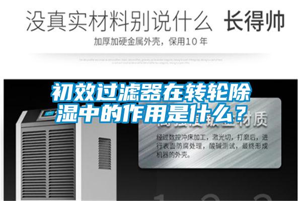 初效过滤器在转轮除湿中的作用是什么？