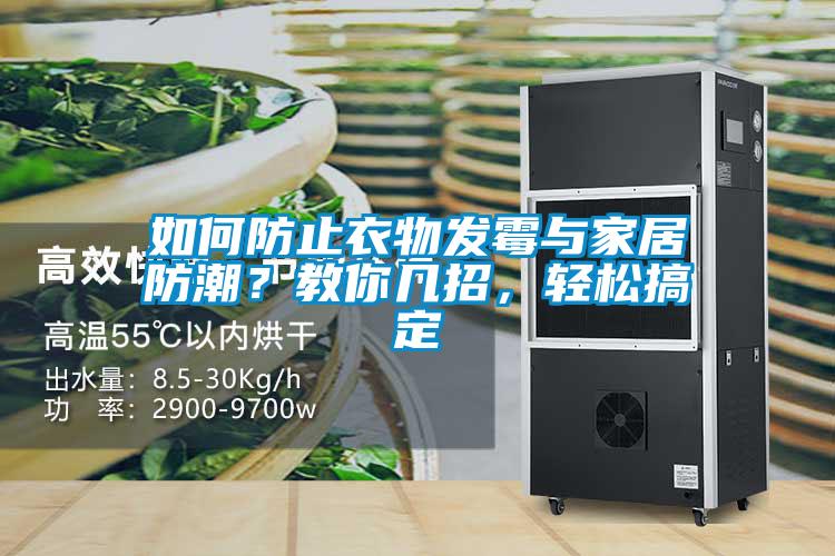 如何防止衣物发霉与家居防潮？教你几招，轻松搞定