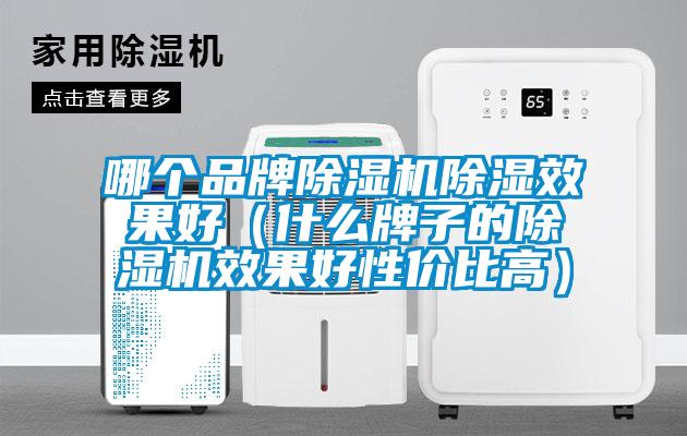哪个品牌除湿机除湿效果好（什么牌子的除湿机效果好性价比高）