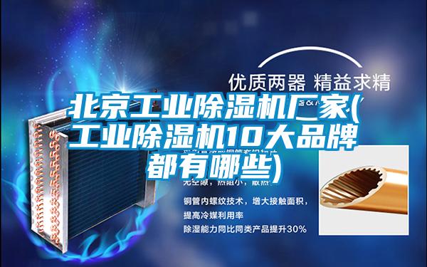 北京工业除湿机厂家(工业除湿机10大品牌都有哪些)