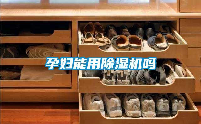 孕妇能用除湿机吗