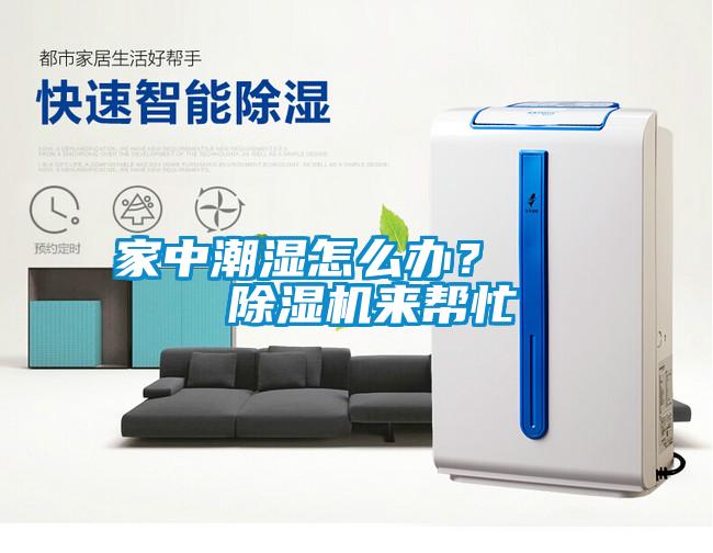 家中潮湿怎么办？    除湿机来帮忙