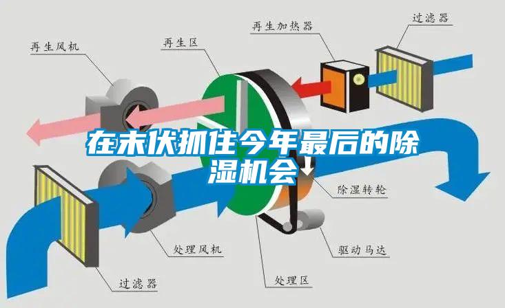 在末伏抓住今年最后的除湿机会