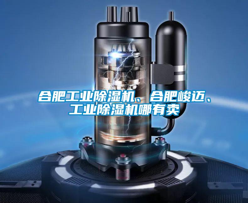 合肥工业除湿机、合肥峻迈、工业除湿机哪有卖