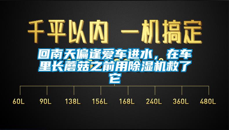 回南天偏逢爱车进水，在车里长蘑菇之前用除湿机救了它