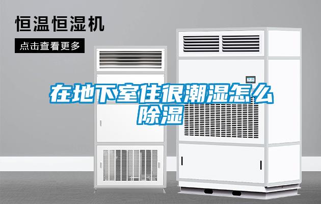 在地下室住很潮湿怎么除湿