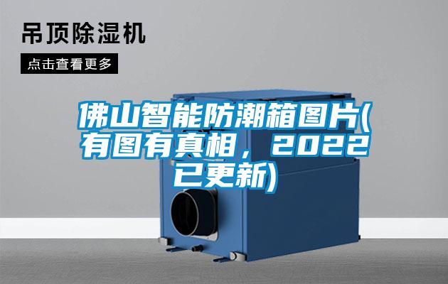 佛山智能防潮箱图片(有图有真相，2022已更新)