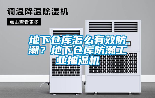 地下仓库怎么有效防潮？地下仓库防潮工业抽湿机