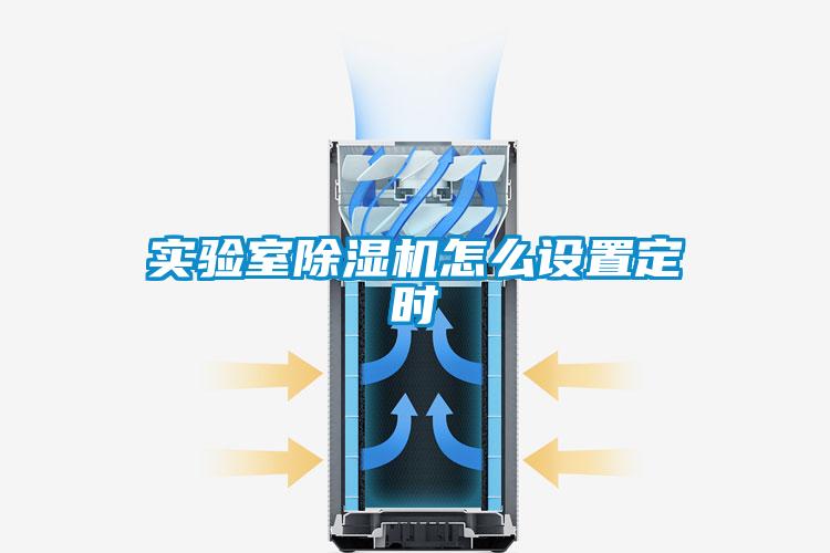 实验室除湿机怎么设置定时