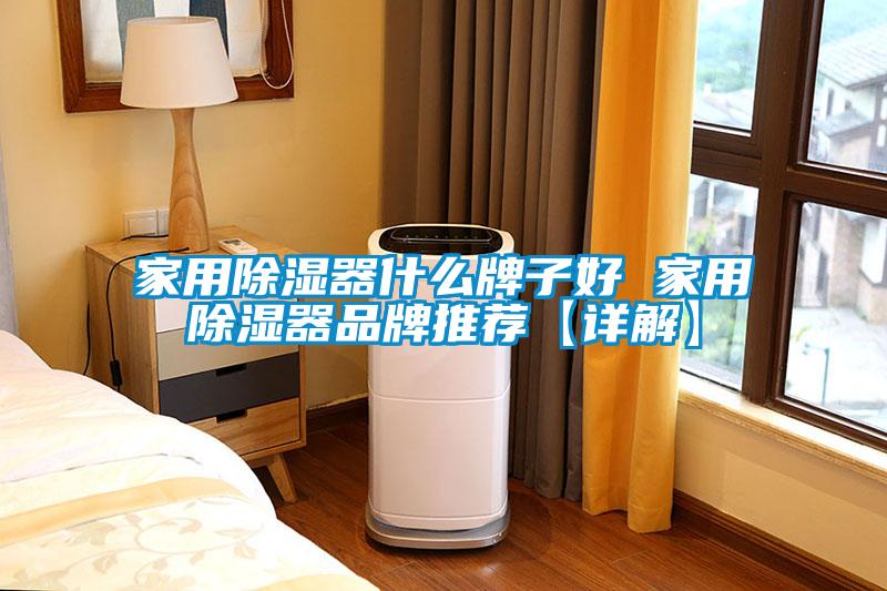 家用除湿器什么牌子好 家用除湿器品牌推荐【详解】