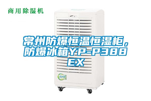 常州防爆恒温恒湿柜，防爆冰箱YP-P388EX