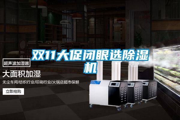 双11大促闭眼选除湿机