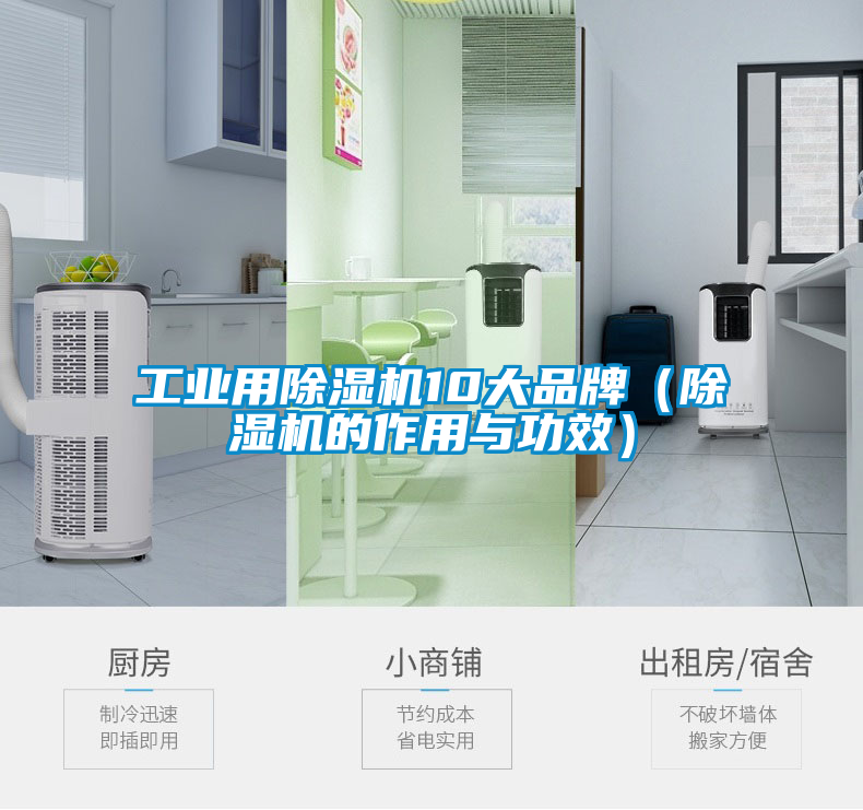 工业用除湿机10大品牌（除湿机的作用与功效）