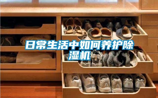 日常生活中如何养护除湿机