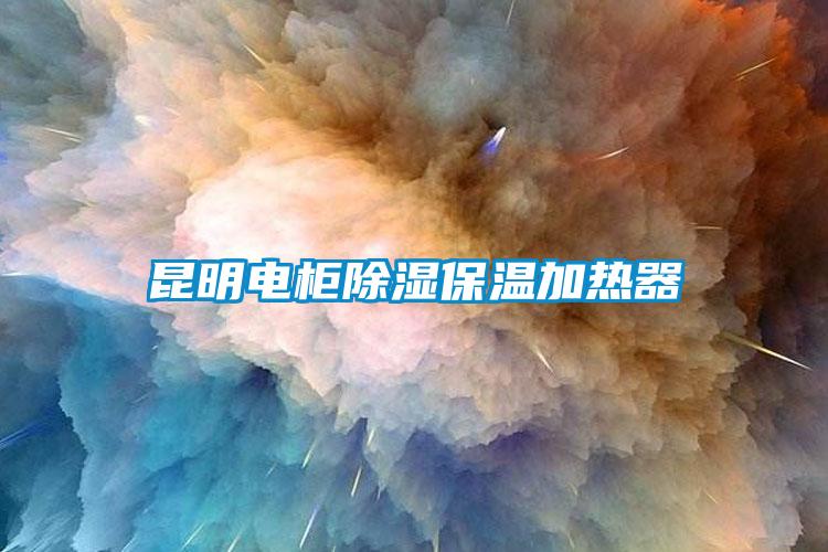 昆明电柜除湿保温加热器