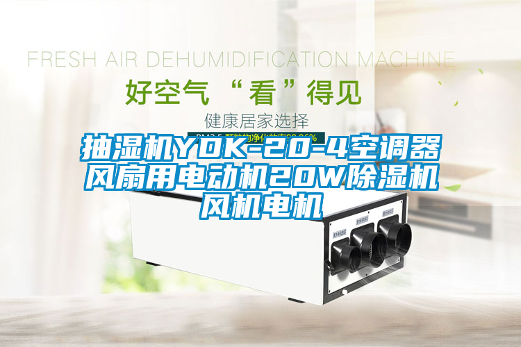 抽湿机YDK-20-4空调器风扇用电动机20W除湿机风机电机