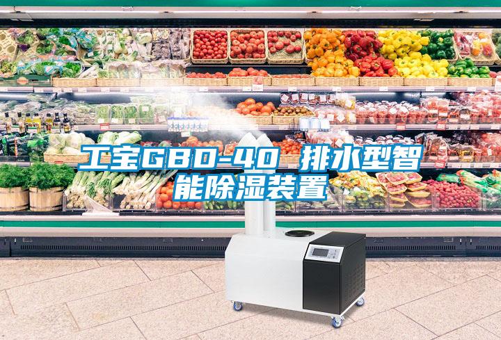 工宝GBD-40 排水型智能除湿装置