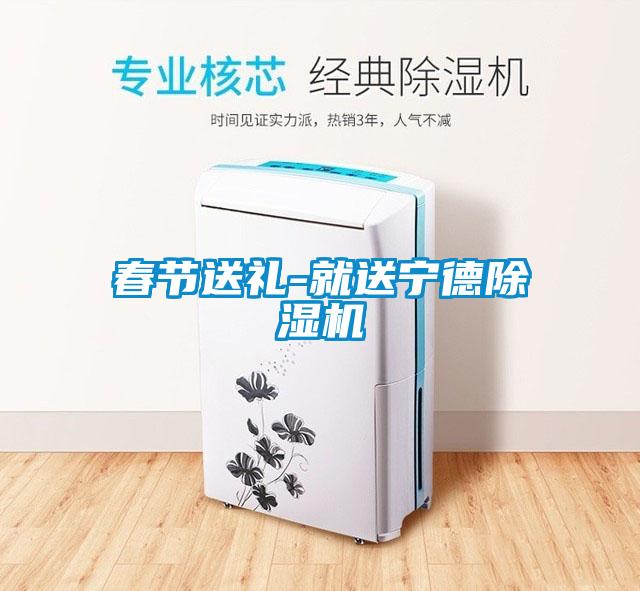 春节送礼-就送宁德除湿机