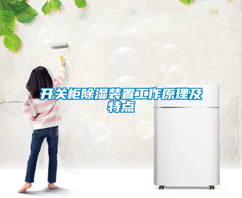 开关柜除湿装置工作原理及特点