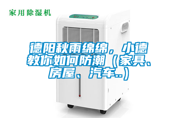 德阳秋雨绵绵，小德教你如何防潮（家具、房屋、汽车..）