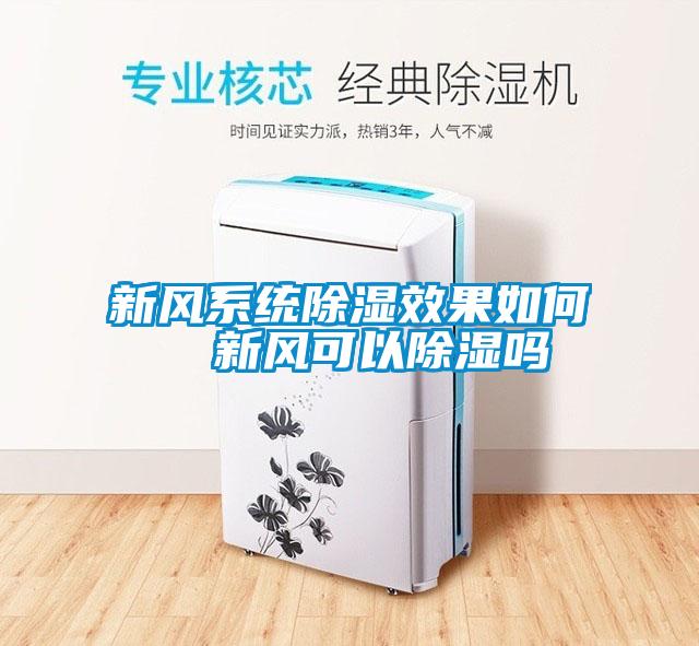 新风系统除湿效果如何  新风可以除湿吗