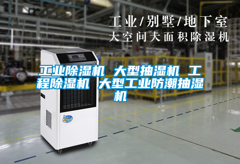 工业除湿机 大型抽湿机 工程除湿机 大型工业防潮抽湿机