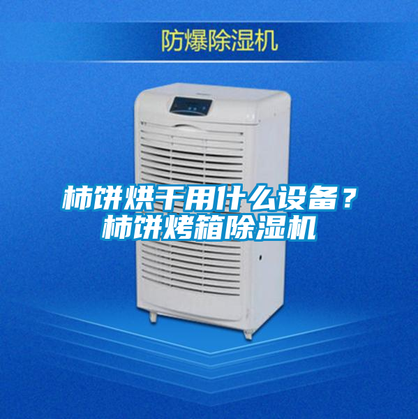 柿饼烘干用什么设备？柿饼烤箱除湿机
