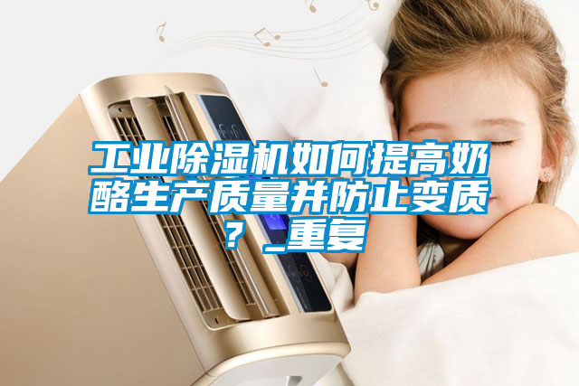 工业除湿机如何提高奶酪生产质量并防止变质？_重复