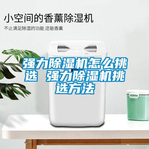 强力除湿机怎么挑选 强力除湿机挑选方法