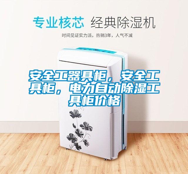 安全工器具柜，安全工具柜，电力自动除湿工具柜价格