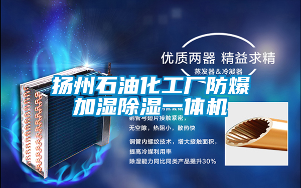 扬州石油化工厂防爆加湿除湿一体机