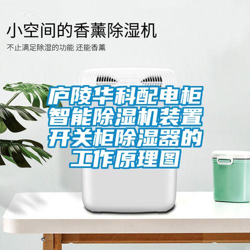 庐陵华科配电柜智能除湿机装置开关柜除湿器的工作原理图