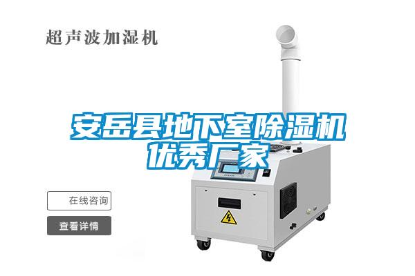 安岳县地下室除湿机优秀厂家