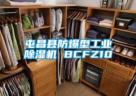 屯昌县防爆型工业除湿机 BCFZ10