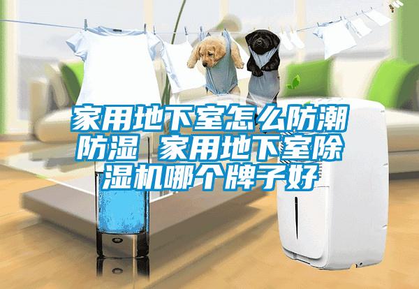 家用地下室怎么防潮防湿 家用地下室除湿机哪个牌子好