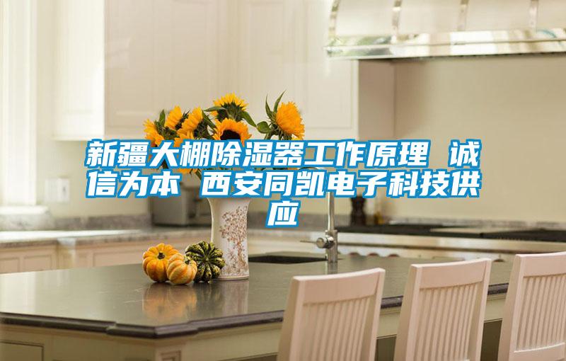 新疆大棚除湿器工作原理 诚信为本 西安同凯电子科技供应