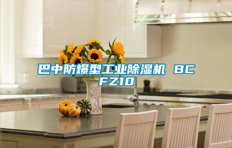 巴中防爆型工业除湿机 BCFZ10